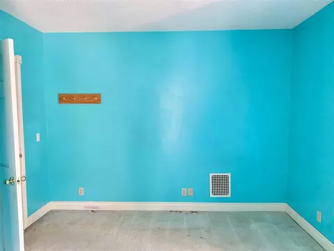 204 First, Sunfield, MI 48890 photo 35