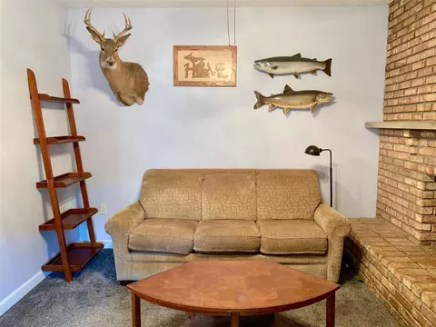 204 First, Sunfield, MI 48890 photo 5