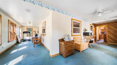 4017 E Pakes Rd, Stanton, MI 48888 photo 15