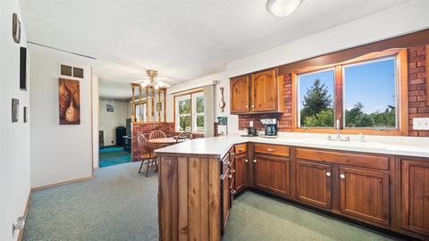 4017 E Pakes Rd, Stanton, MI 48888 photo 16