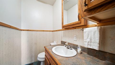 4017 E Pakes Rd, Stanton, MI 48888 photo 17