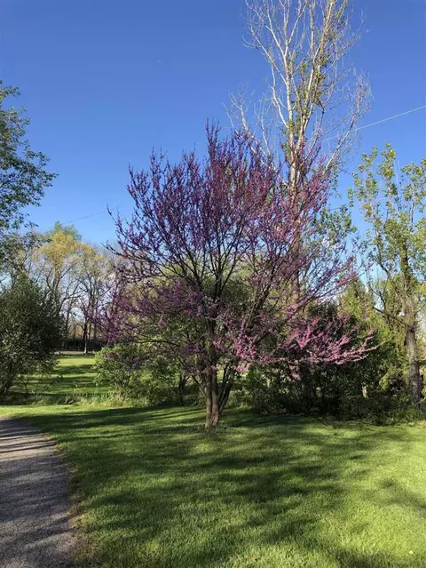 16288 E Cd, Augusta, MI 49012 photo 38