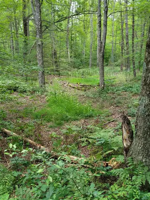 8538 Wilderness Trl, White Cloud, MI 49349 photo 23
