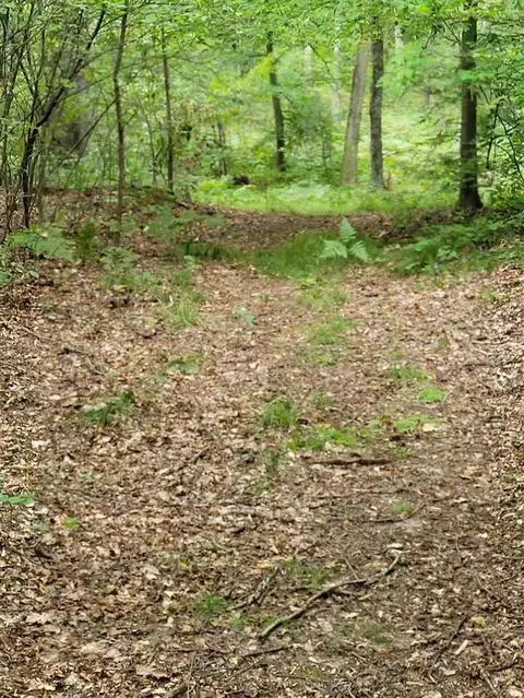 8538 Wilderness Trl, White Cloud, MI 49349 photo 19