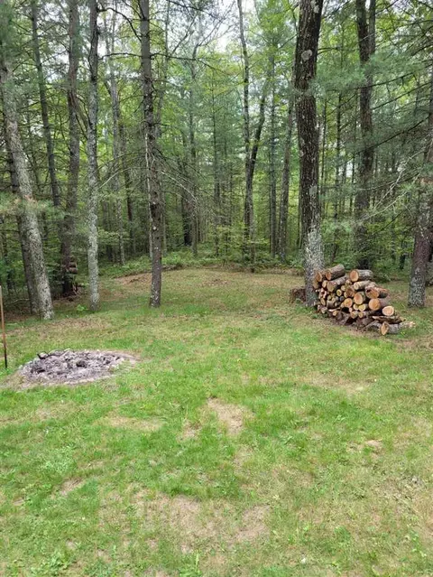 8538 Wilderness Trl, White Cloud, MI 49349 photo 26