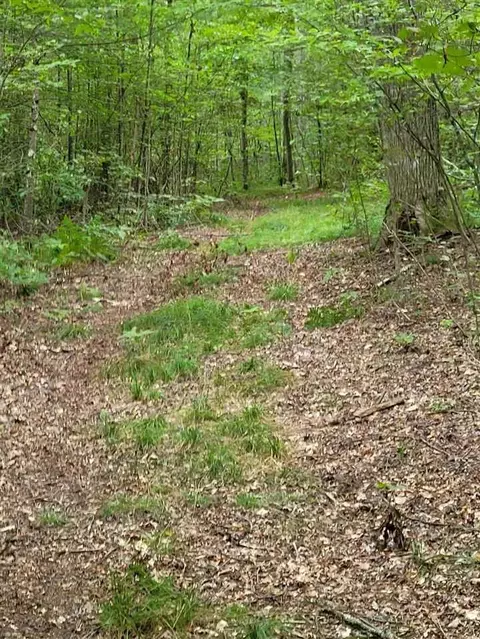 8538 Wilderness Trl, White Cloud, MI 49349 photo 20
