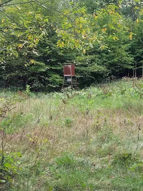 8538 Wilderness Trl, White Cloud, MI 49349 photo 22