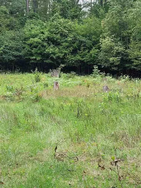 8538 Wilderness Trl, White Cloud, MI 49349 photo 21