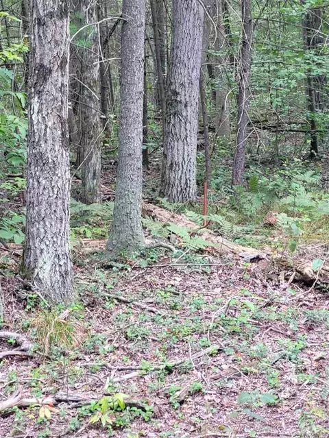 8538 Wilderness Trl, White Cloud, MI 49349 photo 24