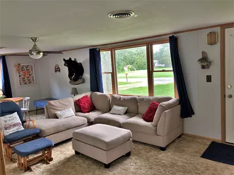 403 W Pine St, Edmore, MI 48829 photo 3