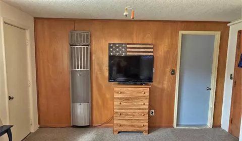 403 W Pine St, Edmore, MI 48829 photo 8