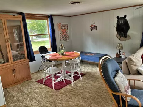 403 W Pine St, Edmore, MI 48829 photo 5