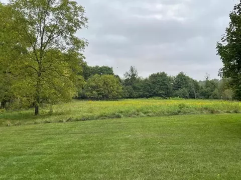10526 Spring Arbor, Spring Arbor, MI 49283 photo 45