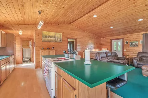 9555 Maines, Parma, MI 49269 photo 12