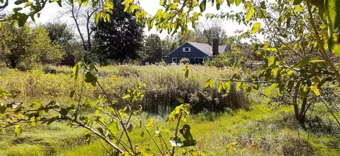 64367 M-62, Cassopolis, MI 49031 photo 37