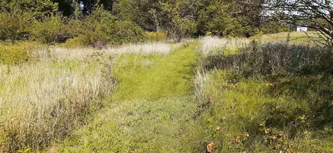 64367 M-62, Cassopolis, MI 49031 photo 35