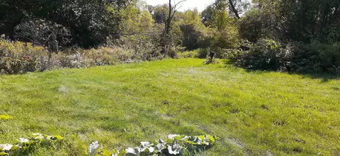 64367 M-62, Cassopolis, MI 49031 photo 34