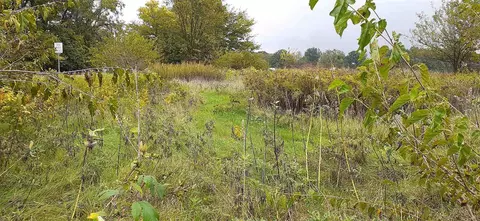 64367 M-62, Cassopolis, MI 49031 photo 36