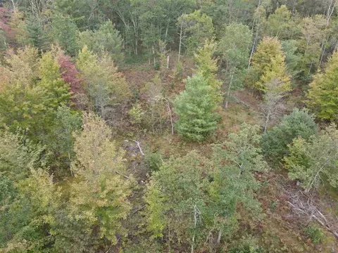 10845 Cedar, Gladwin, MI 48624 photo 3