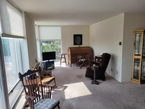 715 W Michigan #509, Jackson, MI 49201 photo 6
