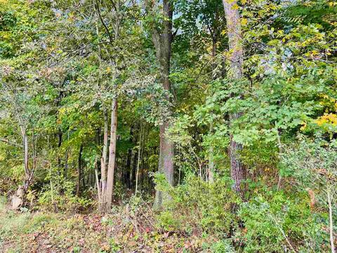 230 Thurman, Belding, MI 48809 photo 2