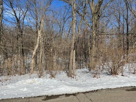 230 Thurman, Belding, MI 48809 photo 4