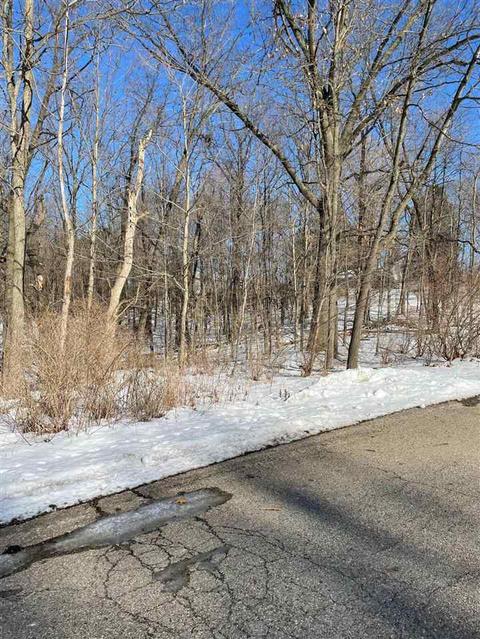 230 Thurman, Belding, MI 48809 photo 5