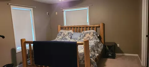 111 Charlotte, Edmore, MI 48829 photo 5