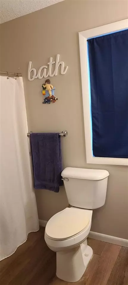 111 Charlotte, Edmore, MI 48829 photo 9