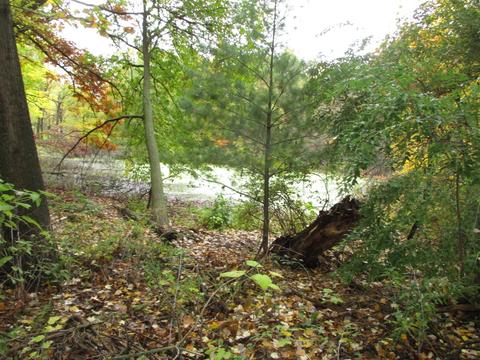 11 Mile Rd--parcel C, Rockford, MI 49341