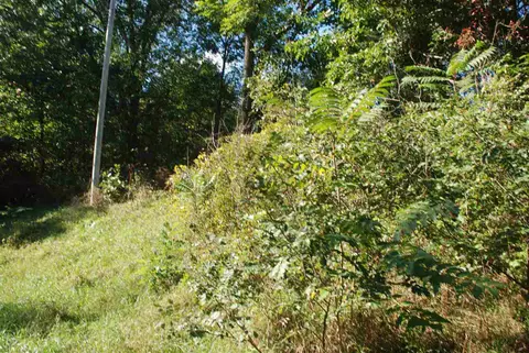 5984 Jordan Rd, Jackson, MI 49201 photo 6