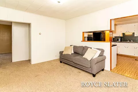 933 Pleasant, Belding, MI 48809 photo 5