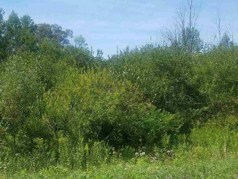 Lot 15 Marlene, Rothbury, MI 49452