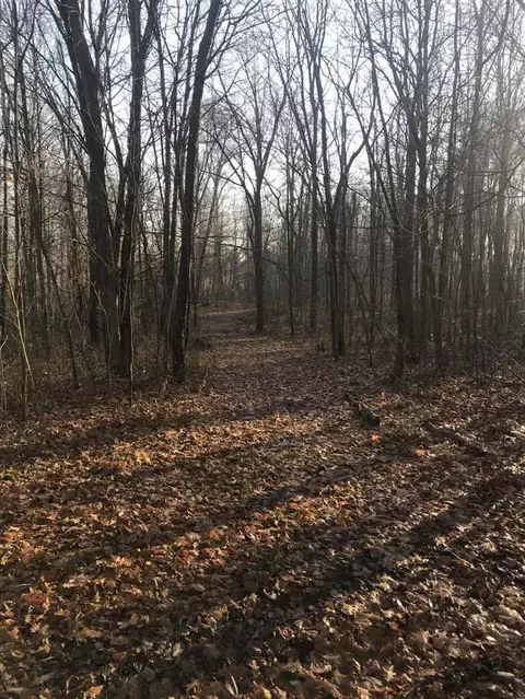 14131 Hoffman, Marcellus, MI 49067 photo 28