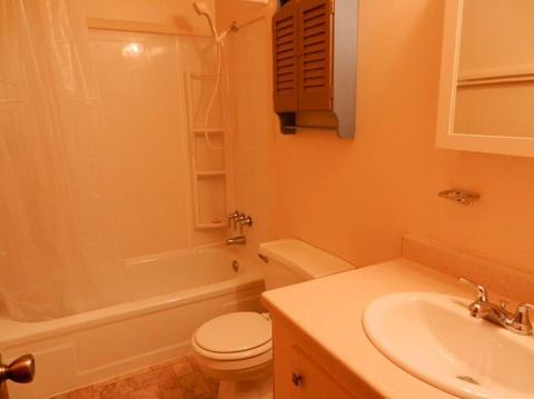233 12th, Plainwell, MI 49080 photo 8