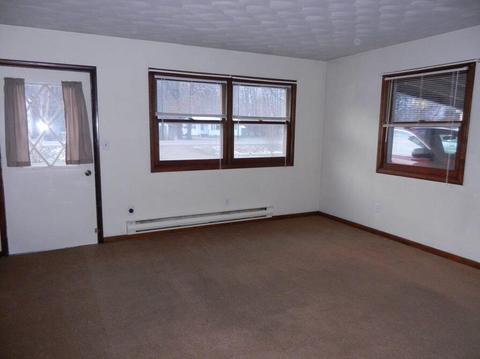 233 12th, Plainwell, MI 49080 photo 6