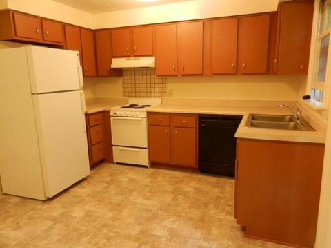 233 12th, Plainwell, MI 49080 photo 4