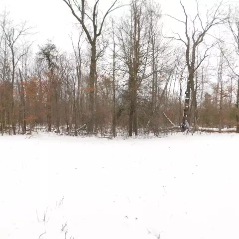 4344 N Evergreen, White Cloud, MI 49349 photo 20