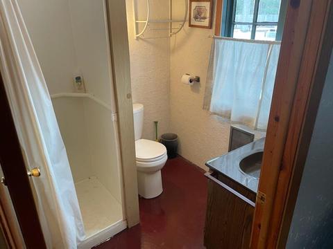 4666 N Able Rd, Irons, MI 49644 photo 14