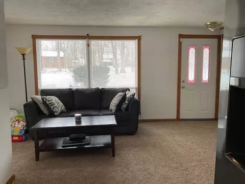 12321 Woodland Park, Belding, MI 48809 photo 9