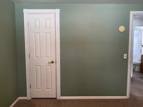 12321 Woodland Park, Belding, MI 48809 photo 12