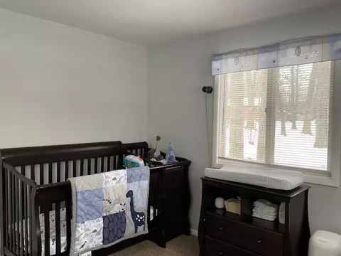 12321 Woodland Park, Belding, MI 48809 photo 21