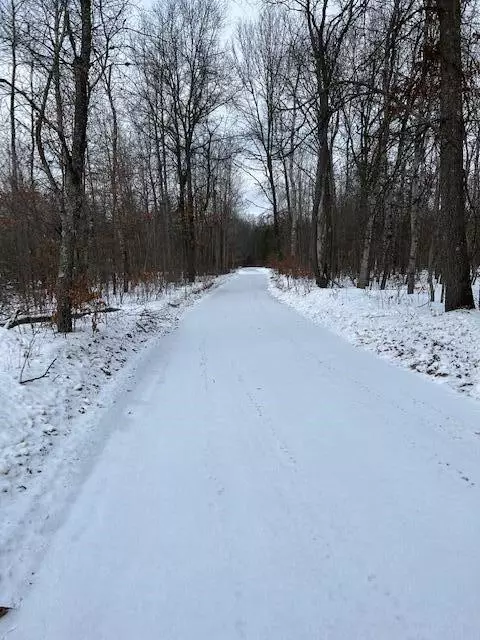 397 S Bingham, White Cloud, MI 49349 photo 4