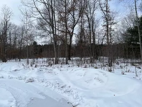 397 S Bingham, White Cloud, MI 49349 photo 5