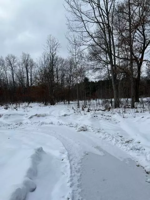 397 S Bingham, White Cloud, MI 49349 photo 2