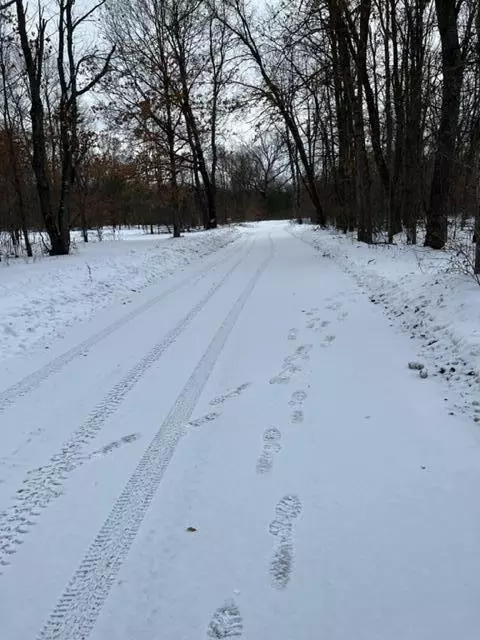 397 S Bingham, White Cloud, MI 49349 photo 3