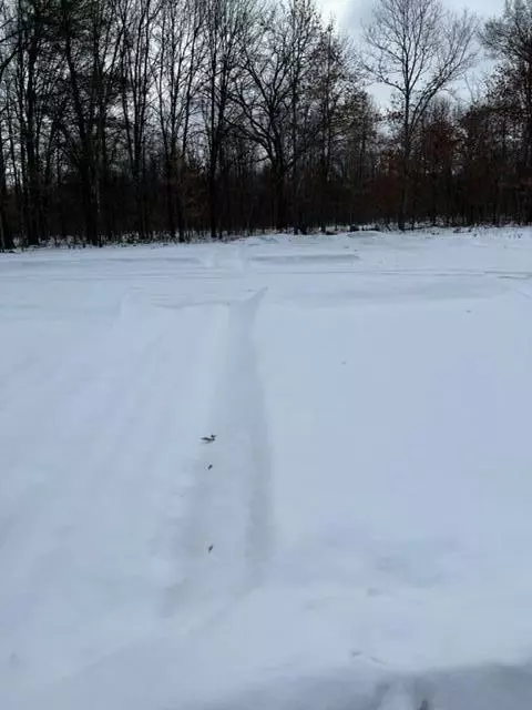 397 S Bingham, White Cloud, MI 49349 photo 1
