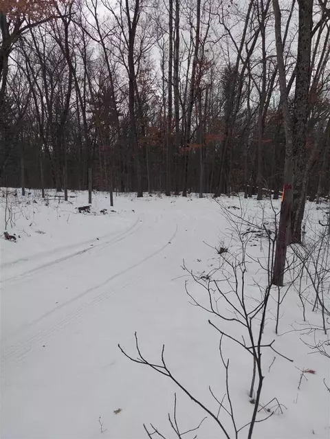 1788 E 100th, Grant, MI 49327 photo 9
