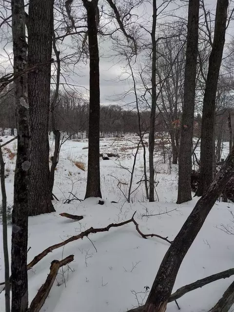 1788 E 100th, Grant, MI 49327 photo 6