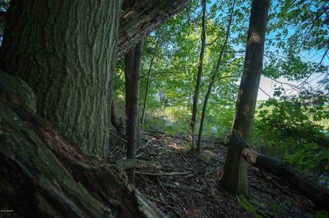 616 Riverview, Whitehall, MI 49461 photo 46